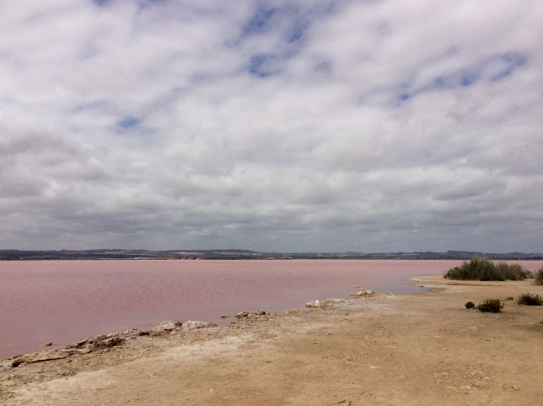 Розовое озеро в Торревьехе, салинас Торревьеха, торревьеха розовое озеро как добраться